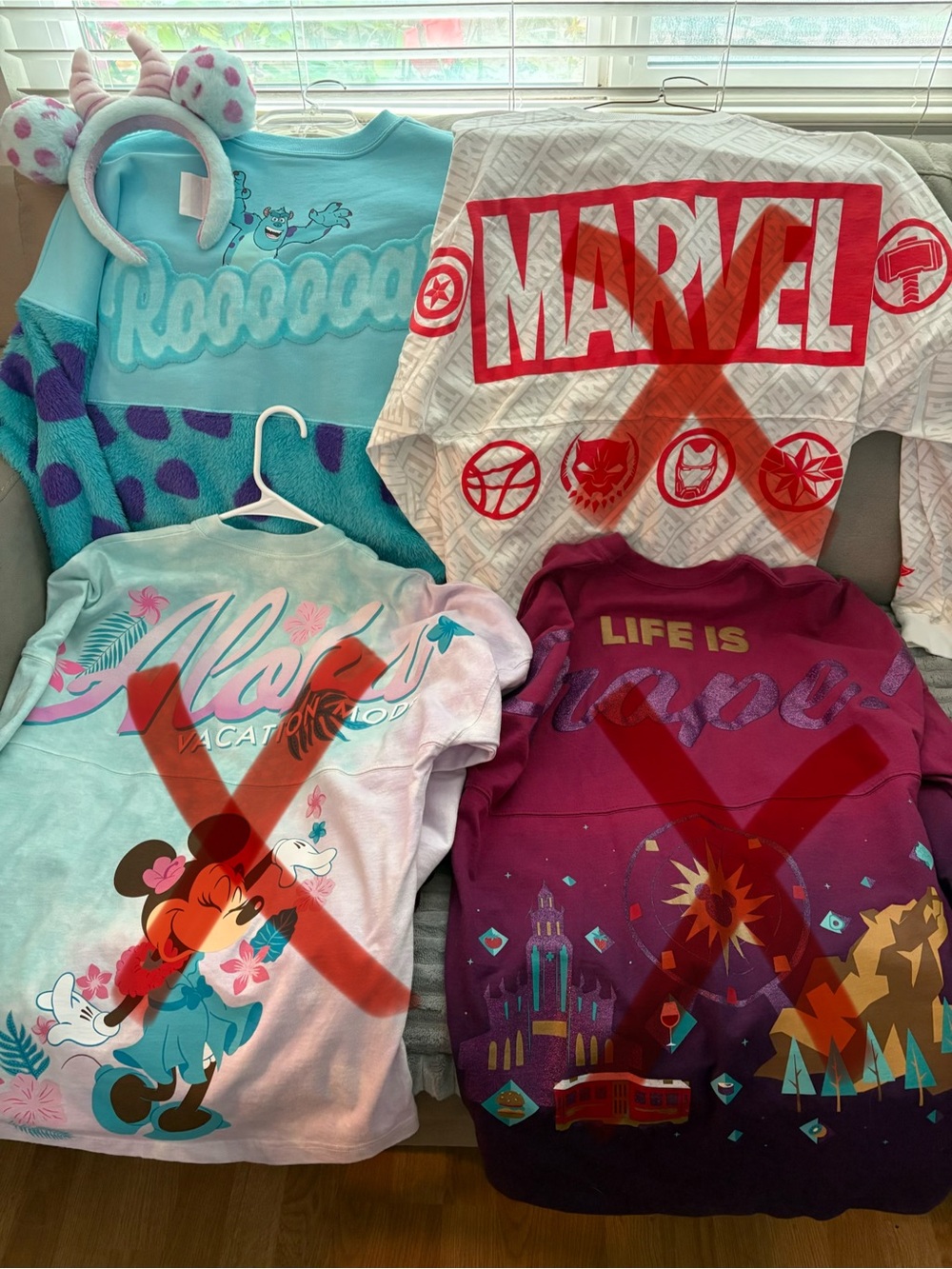 Disney Spirit Jersey & Ear
